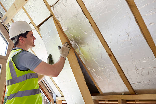 Best Insulation Maintenance and Repair in Tuscumbia, AL
